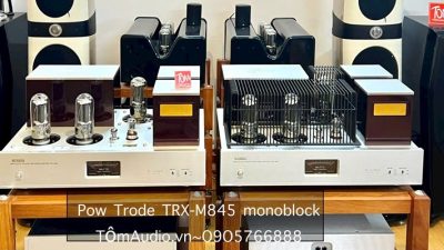 Pow đèn Triode TRX-M845
